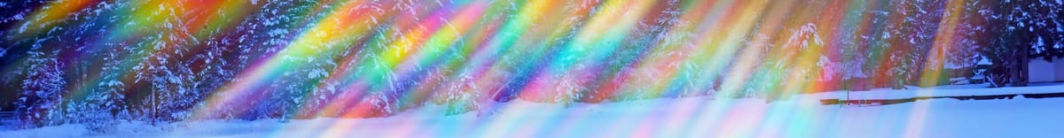 Rainbow lens flare over a scene of snow-covered pine trees.