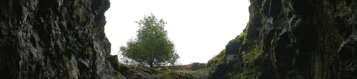 A view out from a cave, with a single tree against the sky